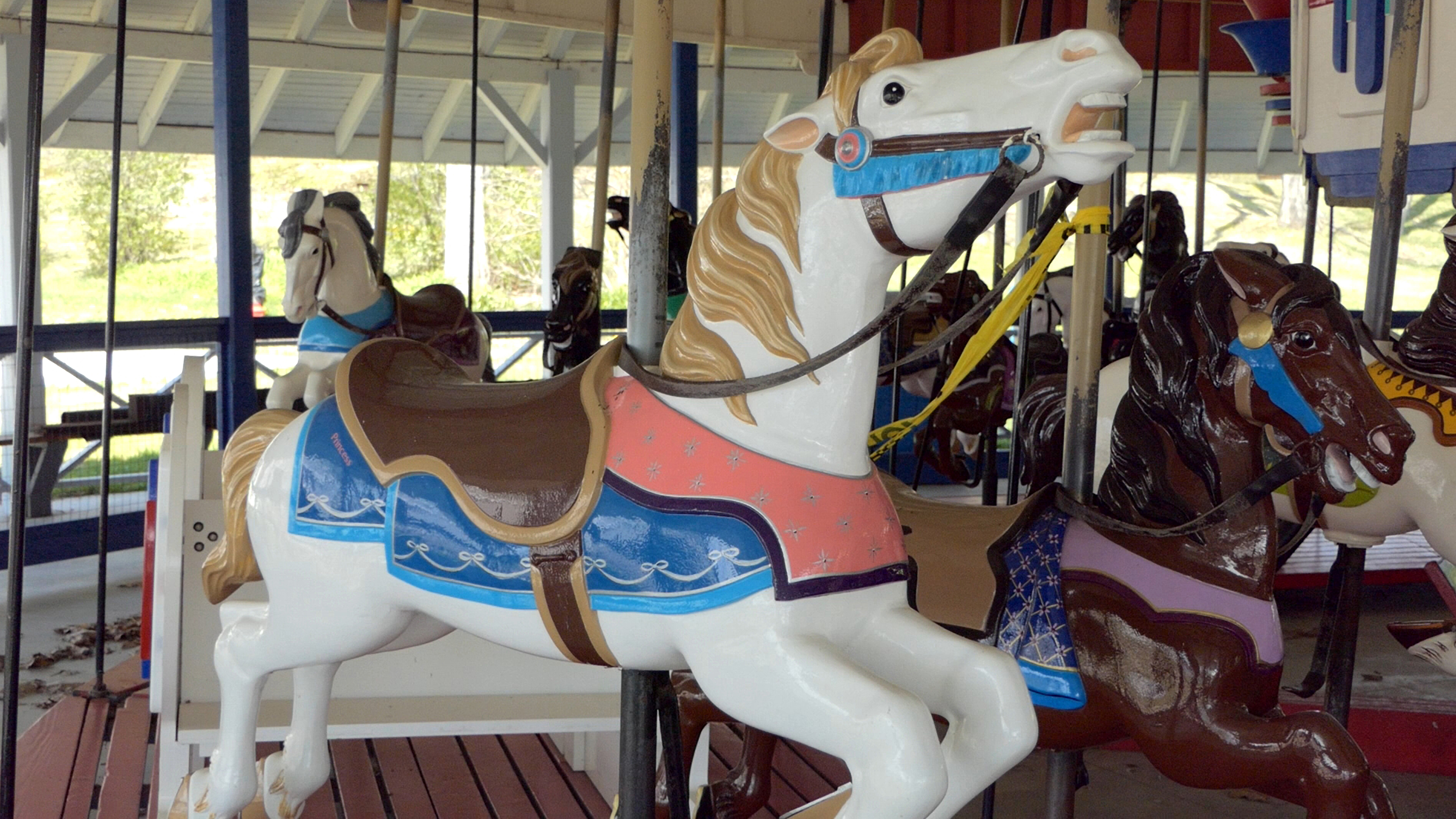 Carousel Horse Ride at Midway Park. Credit: Peter Daulton